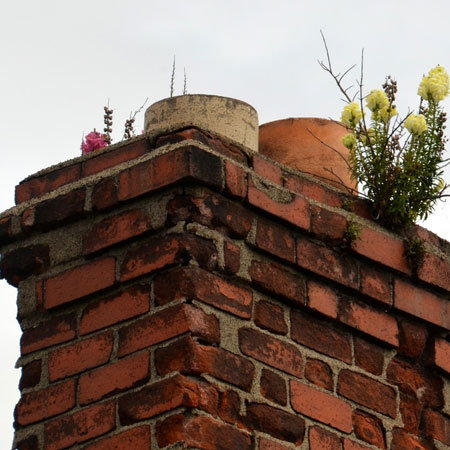Repoint your brickwork