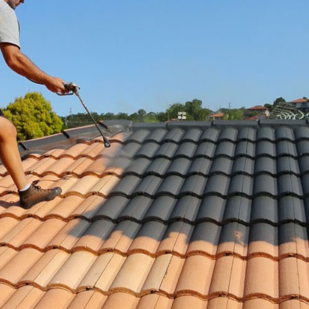 Why Should I Paint The Roof?