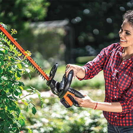 WORX Introduces the latest unique garden cutting and sawing tools