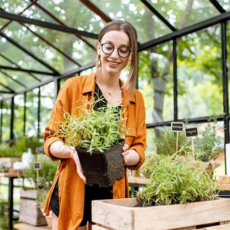 4 Tips On Setting Up Your 6x8 Greenhouse