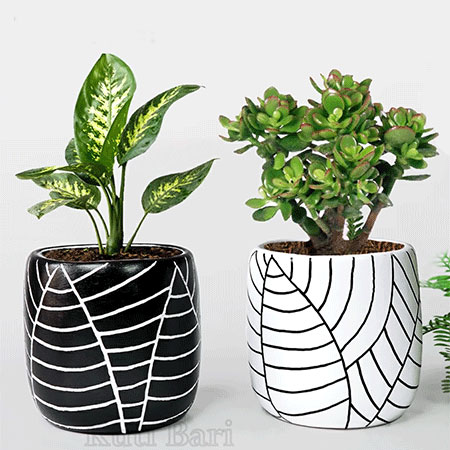 make cement plant or flower pots