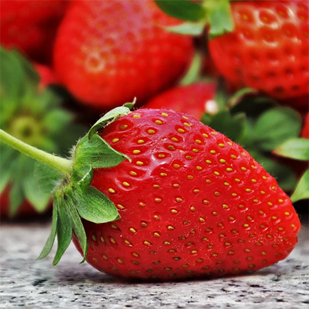 Strawberry plants are easy to grow