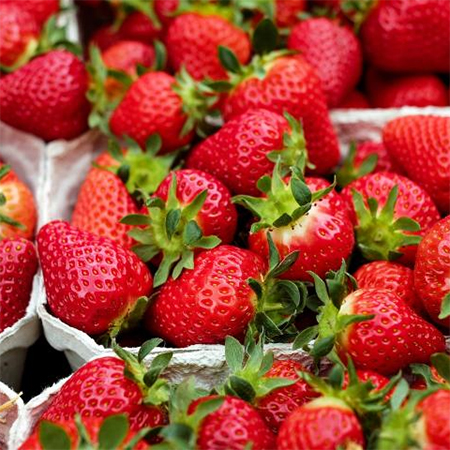 grow strawberries in your garden