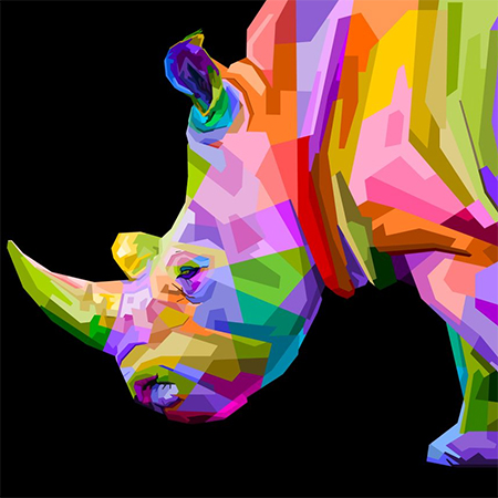 colourful rhino paint by numbers