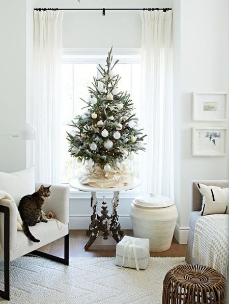 christmas tree on windowseat