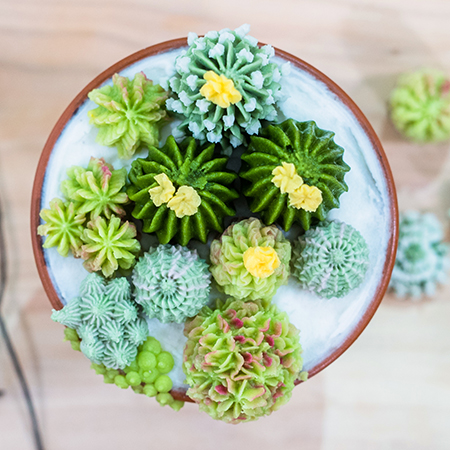 Succulent Summer – Tips for Piping Scrumptious Succulents 