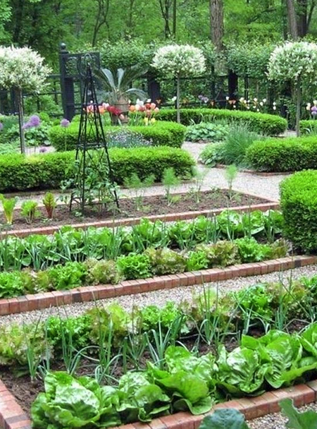 sustainable gardening in your garden