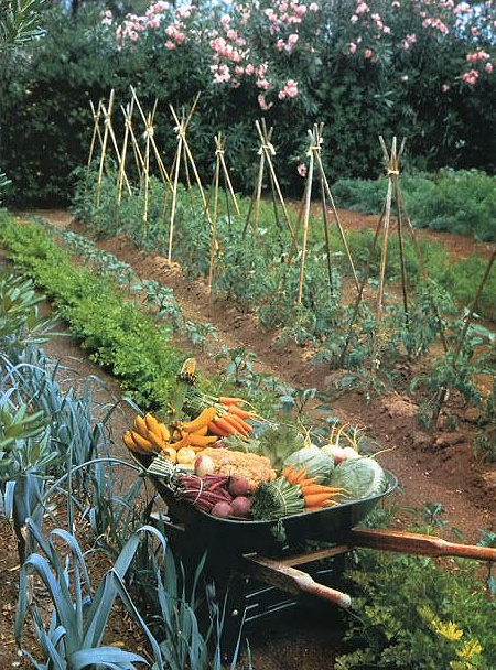 sustainable gardening in south africa