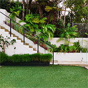 how to get lush green lawn