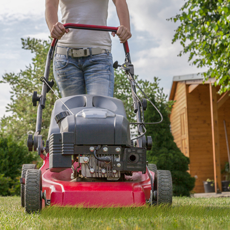 Feed your lawn good nutrients to keep it nourished