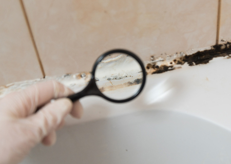 mould and mildew