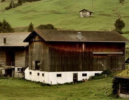 wooden shed