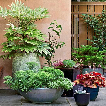 beautiful arrangement flower pots