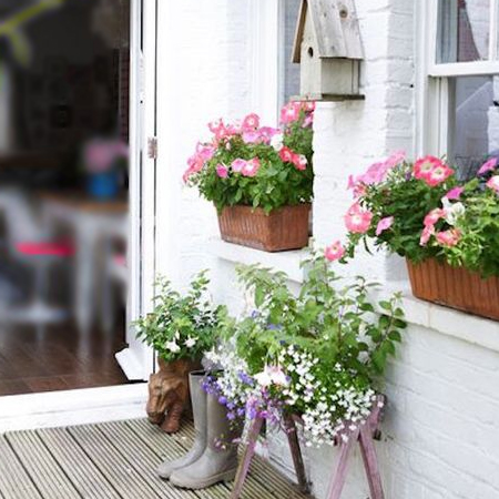 ideas for window boxes