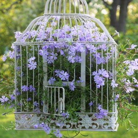 flower planter ideas