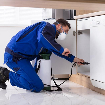 Do's and Don'ts for Pest Control For Homeowners