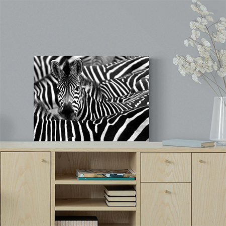 5 Tips for Rocking Black and White Wall Art