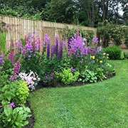 how to landscape a small garden