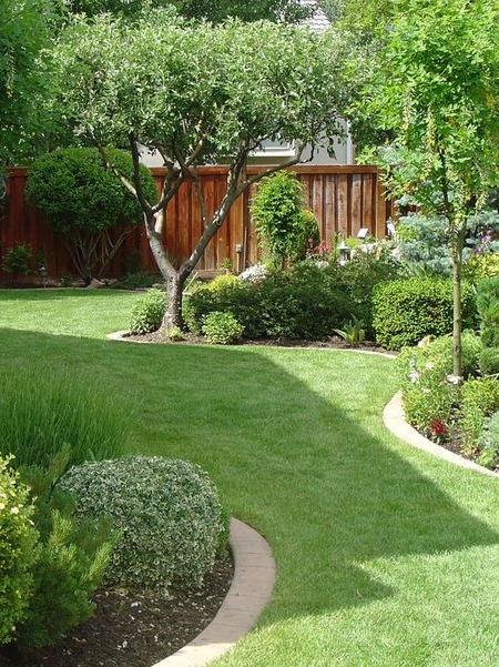 ways to keep lawn green and lush