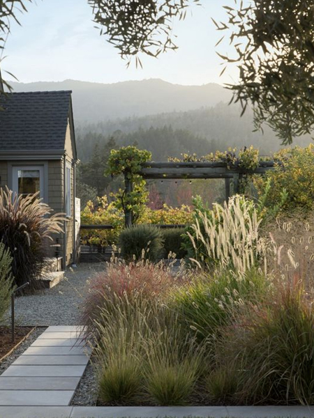 grasses for front garden or pavement garden
