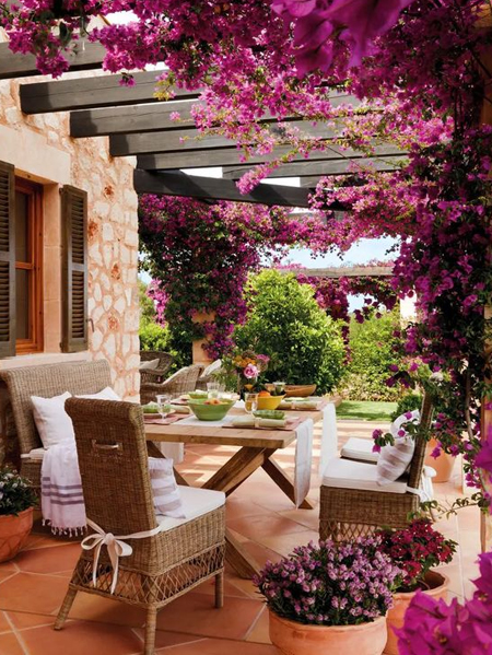 pergola bourgainvillea