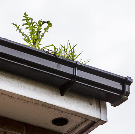 winter maintenance advice