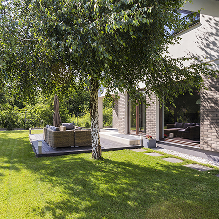 trim trees that overhang roof