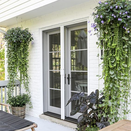 trailing plants in hanging baskets