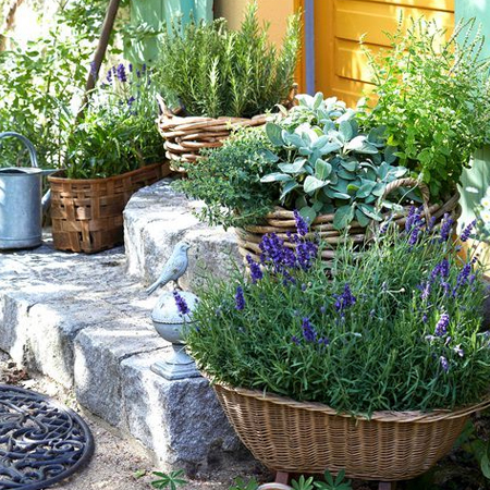 colourful arrangements of planters on steps