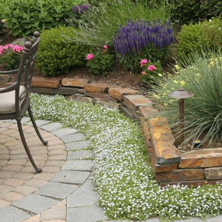soften sharp edges and hard landscape materials with plants