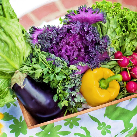 is fresh or frozen better