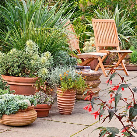 plants to soften hard landscaping materials
