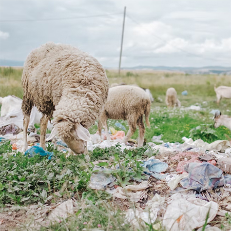 help remove litter and trash in our rural areas