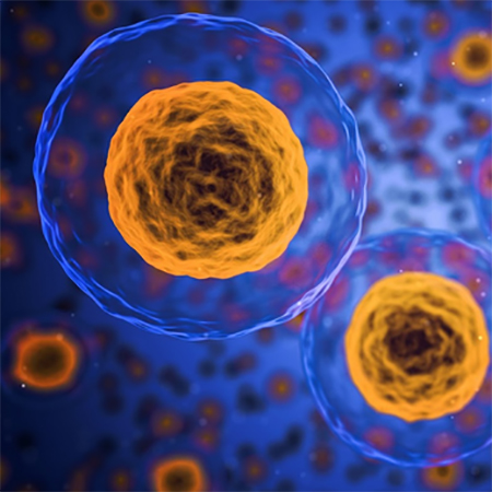 How Medicine Can Improve Your Health