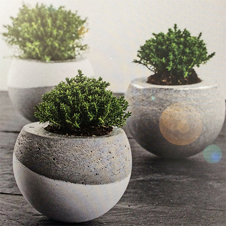 Concrete Crafts for the Home and Garden
