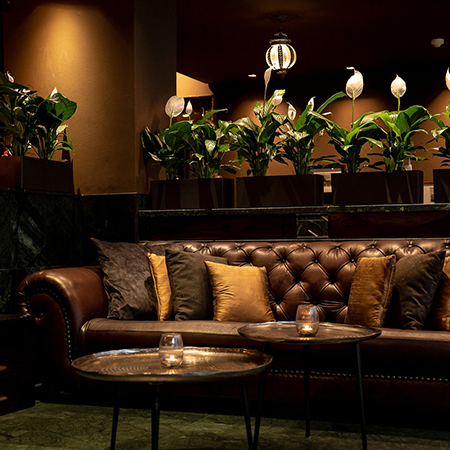 awara interior decor revamp