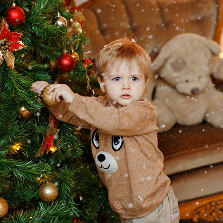 Ideas and Inspiration to Decorate your Family Christmas Tree