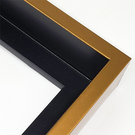 metallic gold floating picture frame