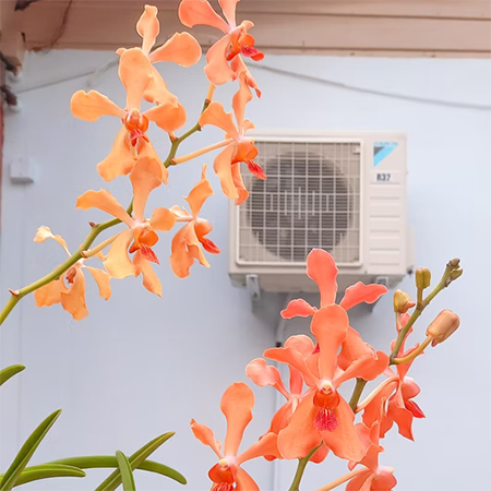 The 5 Most Popular Ac Brands: A Complete Review