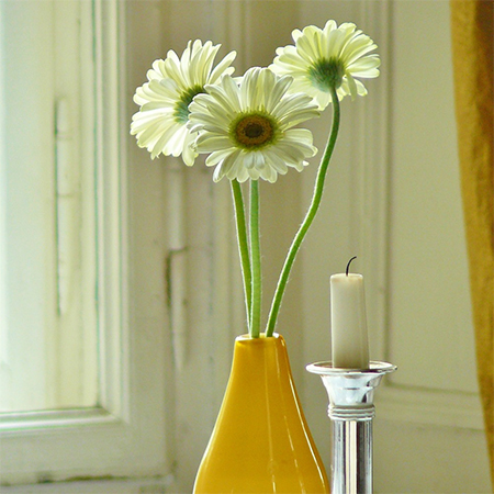 display fresh flowers in a home
