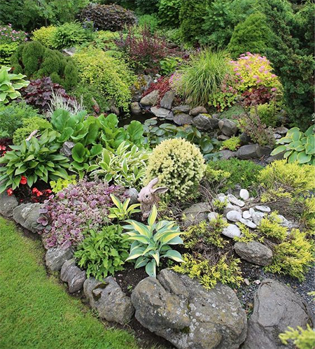 How to Establish a Colourful Rockery in the Garden