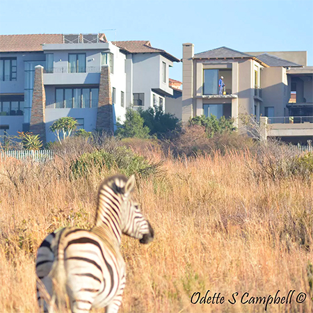 water shortages affect property development