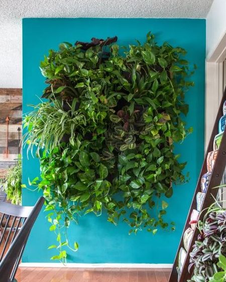 shades plants for indoor vertical garden