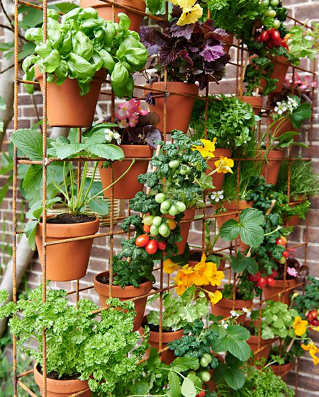 how to grow herbs in vertical garden