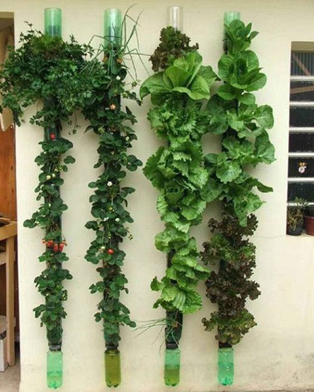 recycled plastic bottle vertical garden