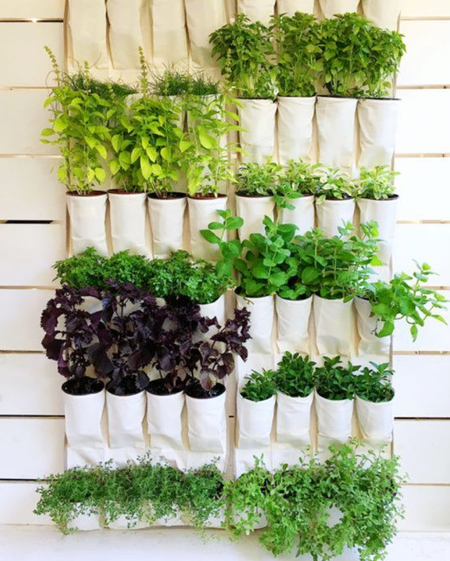 shoe holder vertical garden for herbs