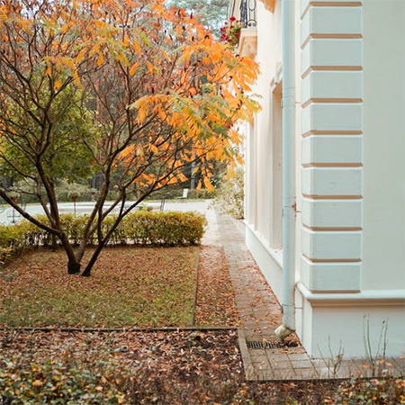 leaf blower for autmn leaves