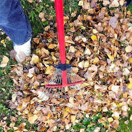 clean up leaves with worx blower