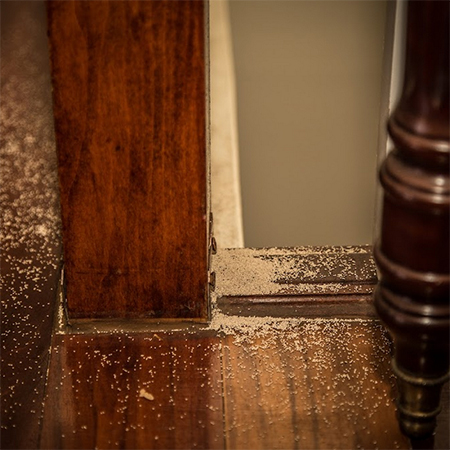 DIY: 5 Ways To Get Rid Of Termites In Your Home