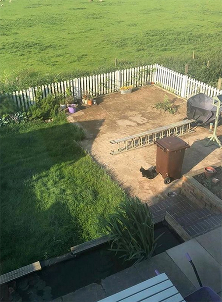 Design a Garden around a Simple Pergola